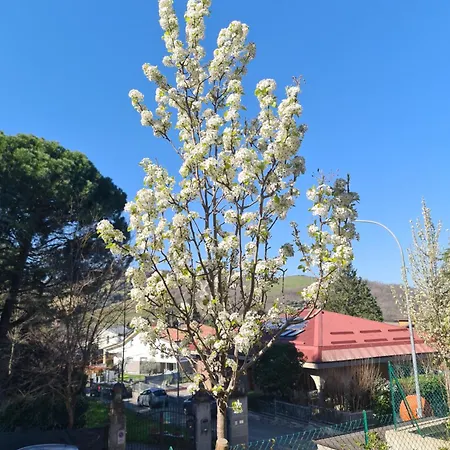 Lägenhet L'incanto Sui Colli Con Giardino Privato