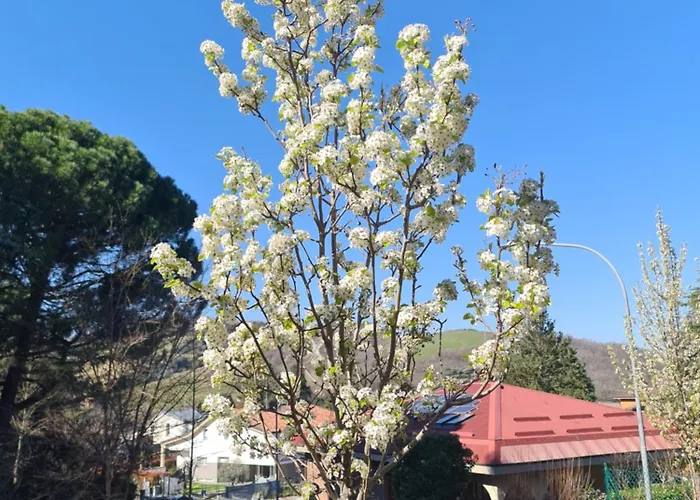 Apartmán L'incanto Sui Colli Con Giardino Privato